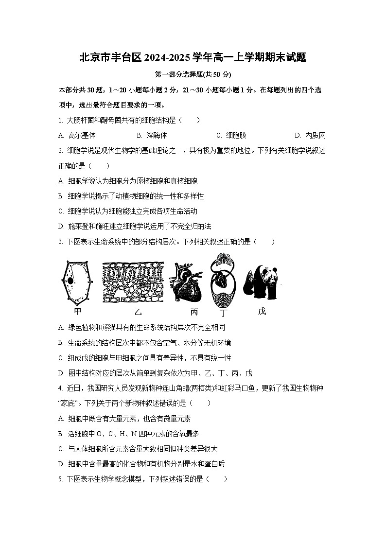 北京市丰台区2024-2025学年高一上学期期末考试生物试题（Word解析版）第1页