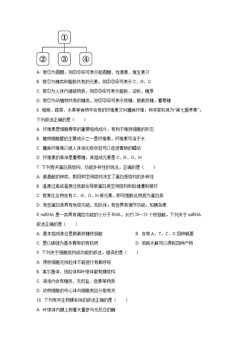 北京市丰台区2024-2025学年高一上学期期末考试生物试题（Word解析版）第2页
