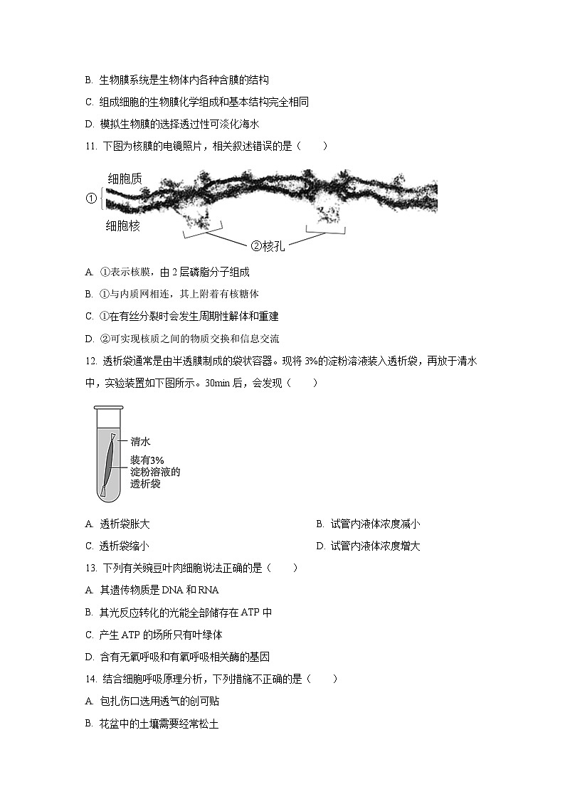 北京市丰台区2024-2025学年高一上学期期末考试生物试题（Word解析版）第3页