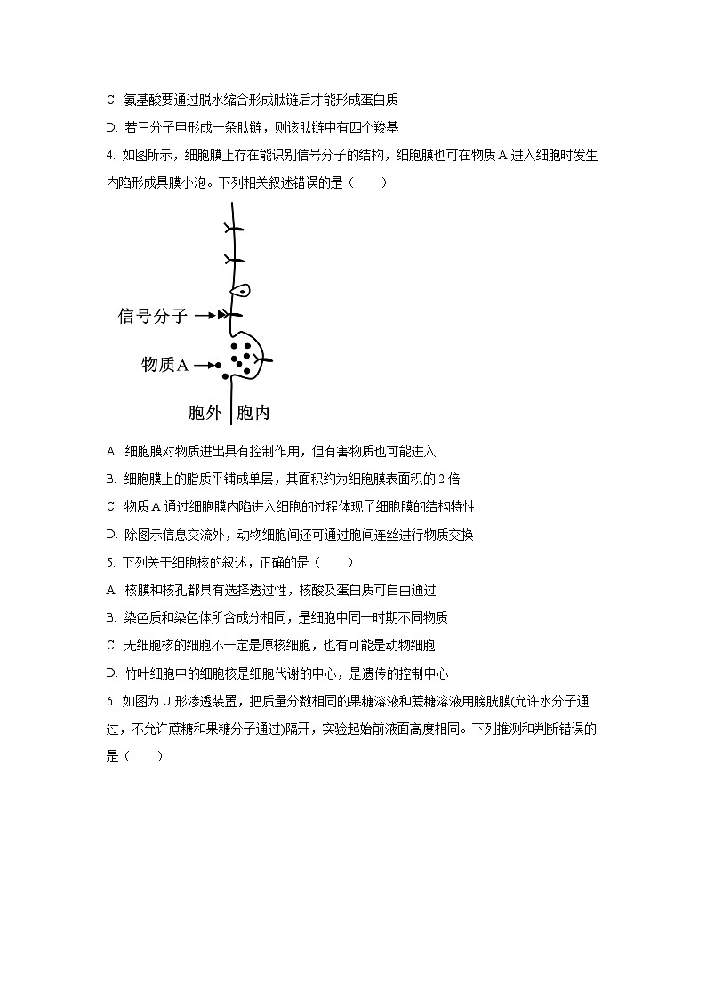 广东省广州市2024-2025学年高一上学期期末检测卷（一）生物试题（Word解析版）第2页