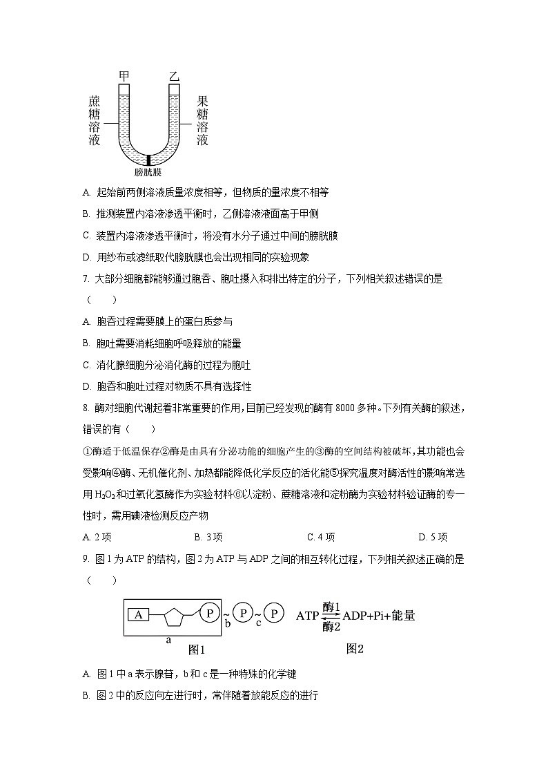 广东省广州市2024-2025学年高一上学期期末检测卷（一）生物试题（Word解析版）第3页