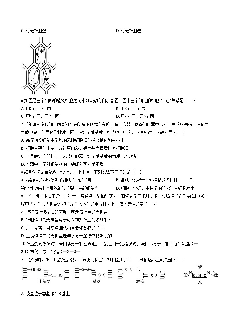 江苏省连云港市新海高级中学2025_2026学年度第一学期10月检测高一生物试题（扫描版，含答案）第2页