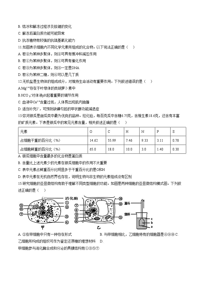 江苏省连云港市新海高级中学2025_2026学年度第一学期10月检测高一生物试题（扫描版，含答案）第3页
