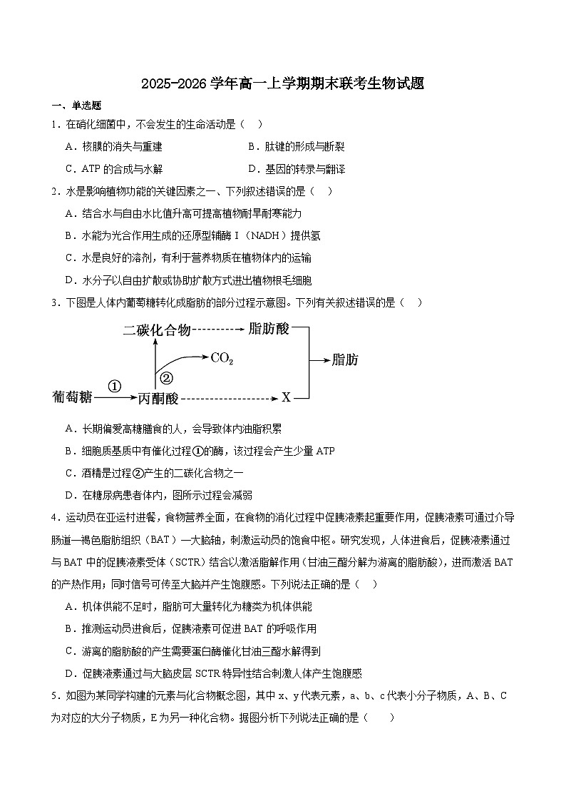 湖北省随州市2025-2026学年高一上学期1月期末联考试题 生物(含答案）第1页
