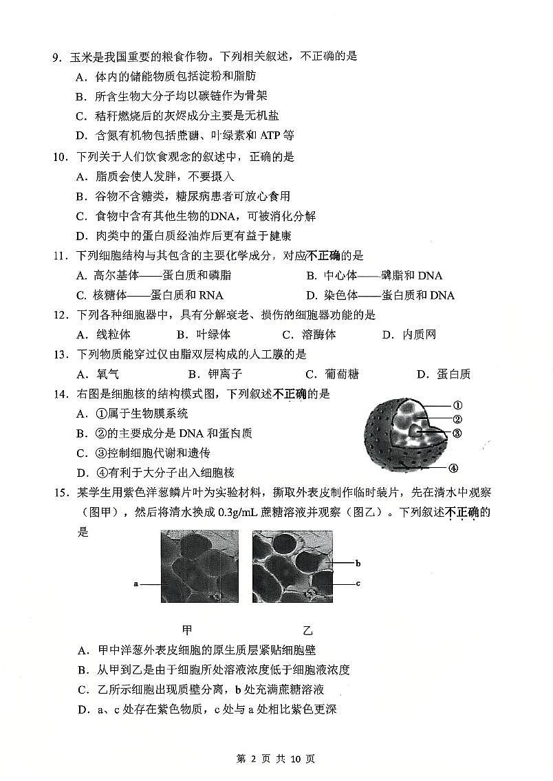 2024北京北京中学高一（上）期中生物试卷第2页