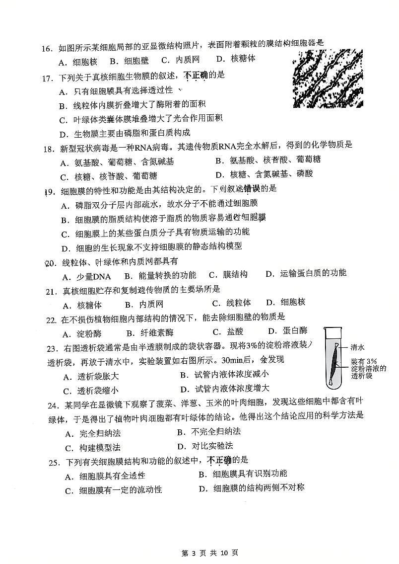 2024北京北京中学高一（上）期中生物试卷第3页