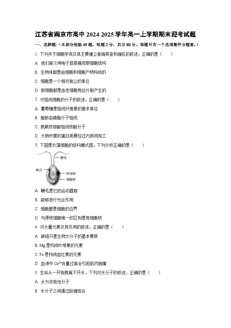 江苏省南京市高中2024-2025学年高一上学期期末考试生物试题（Word解析版）第1页