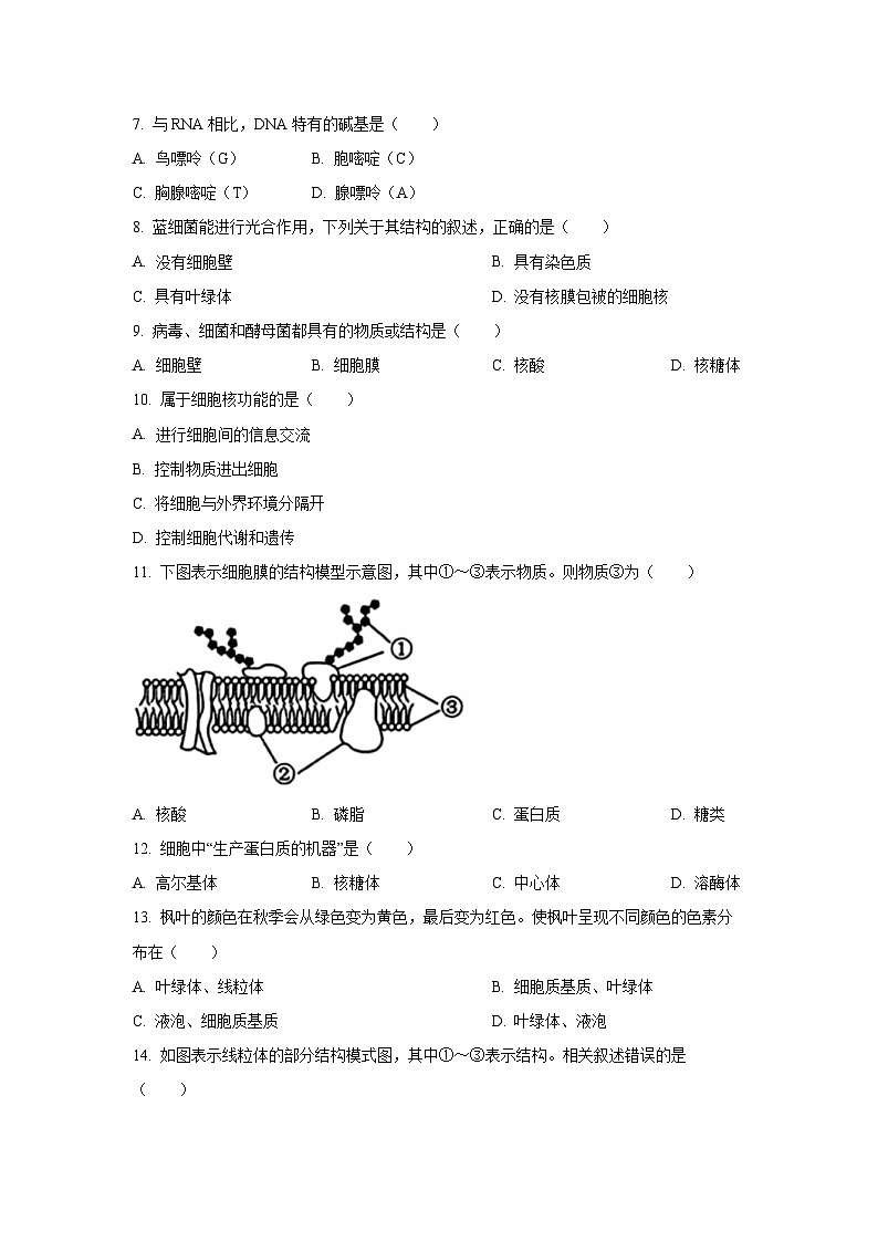 江苏省无锡市2024-2025学年高一上学期期终教学质量调研测生物试题（Word解析版）第2页