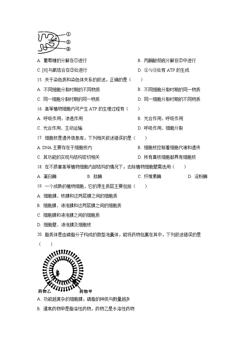 江苏省无锡市2024-2025学年高一上学期期终教学质量调研测生物试题（Word解析版）第3页