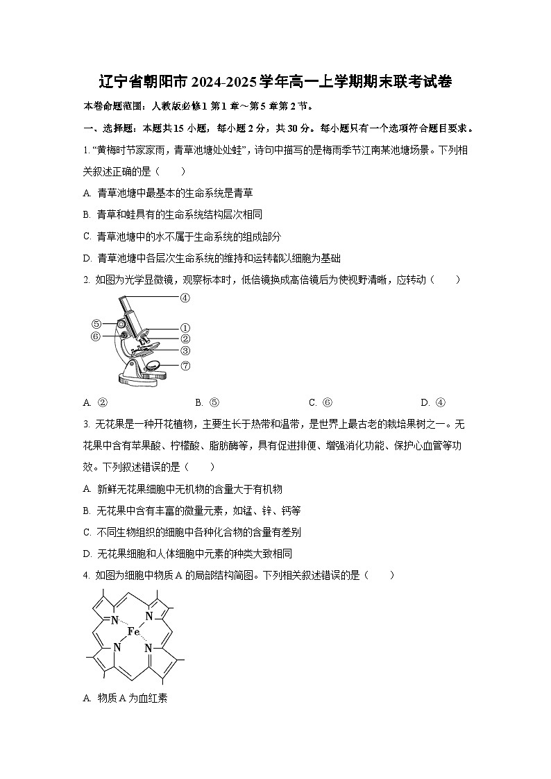 辽宁省朝阳市2024-2025学年高一上学期期末考试生物试题（Word解析版）第1页