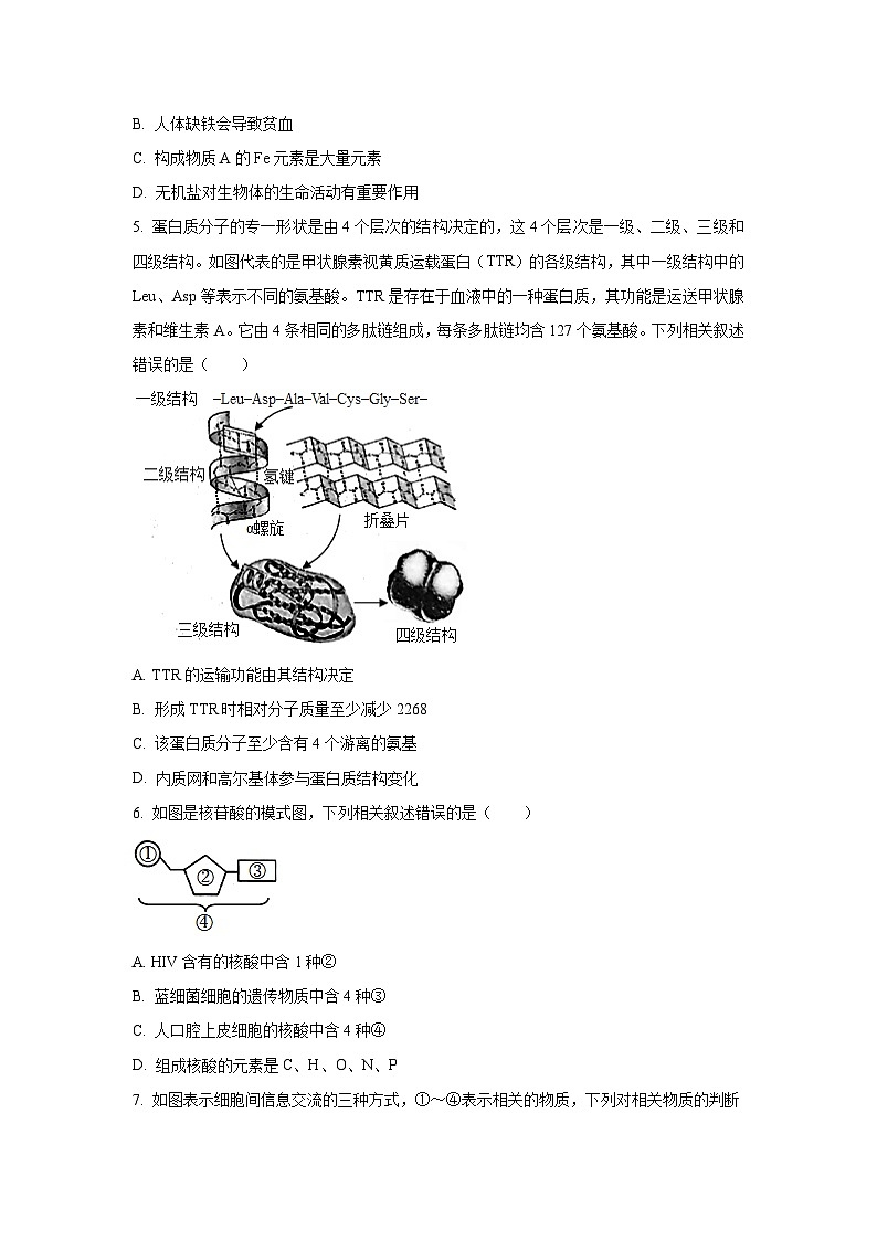 辽宁省朝阳市2024-2025学年高一上学期期末考试生物试题（Word解析版）第2页