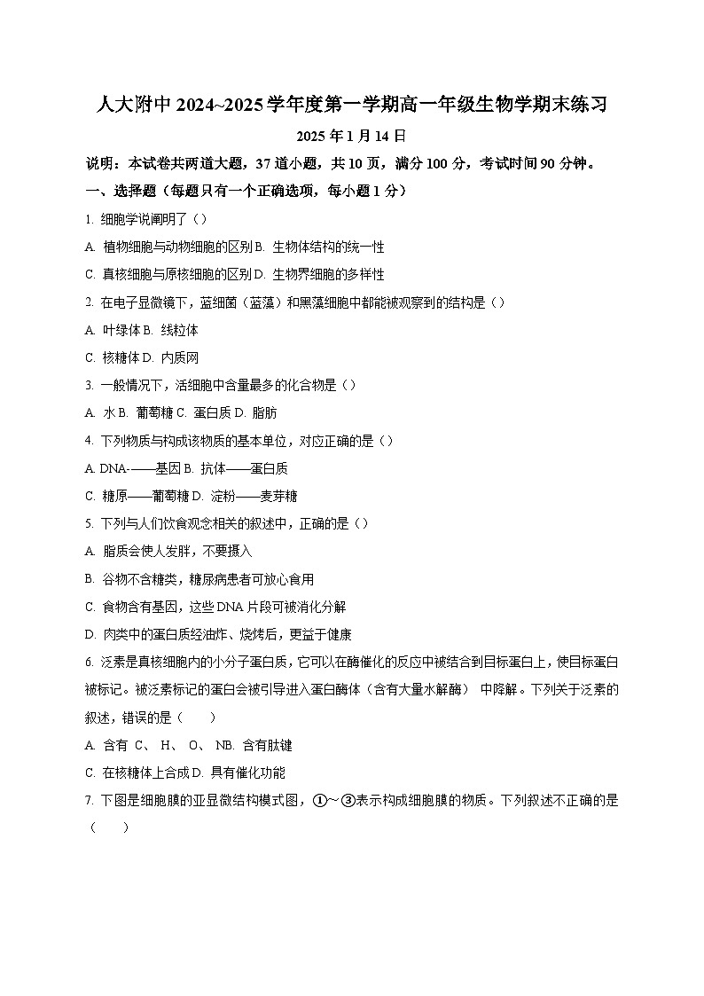 北京市中国人民大学附属中学2024-2025学年高一上学期1月期末考试生物试题（含答案）第1页
