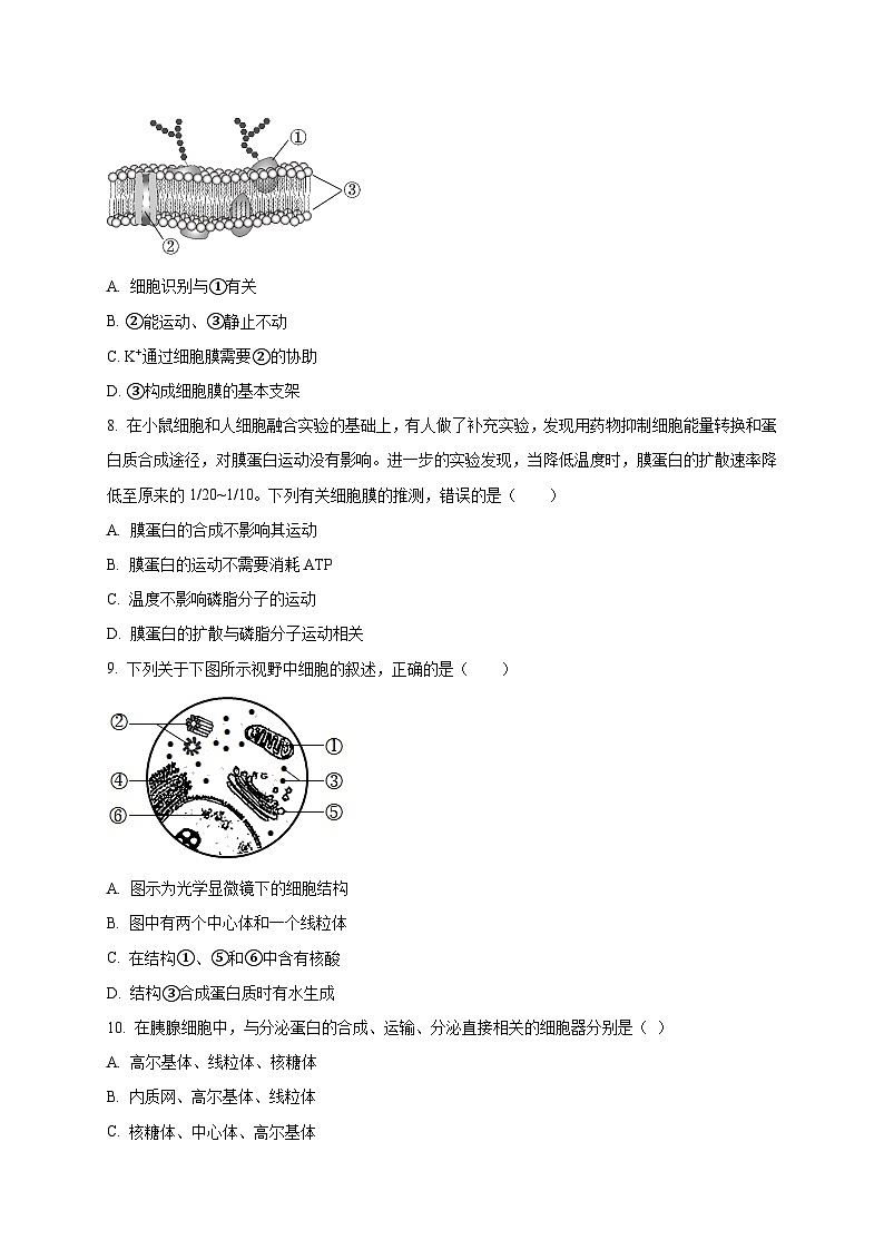 北京市中国人民大学附属中学2024-2025学年高一上学期1月期末考试生物试题（含答案）第2页