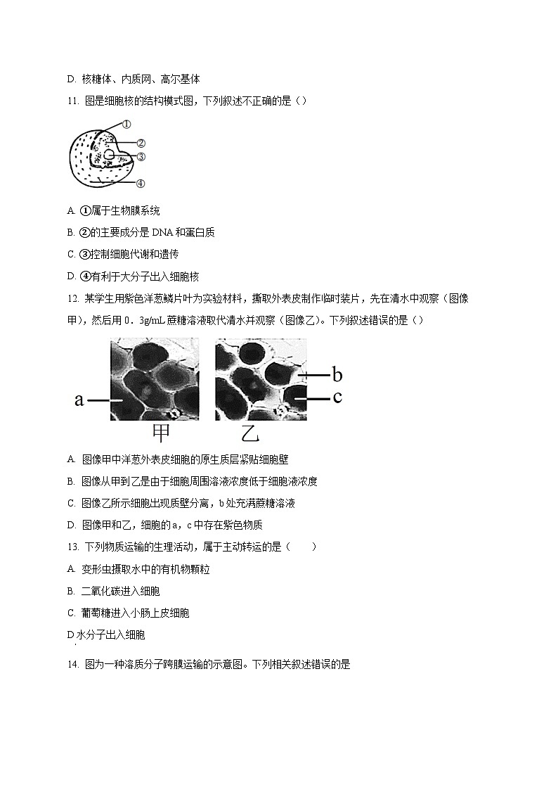 北京市中国人民大学附属中学2024-2025学年高一上学期1月期末考试生物试题（含答案）第3页