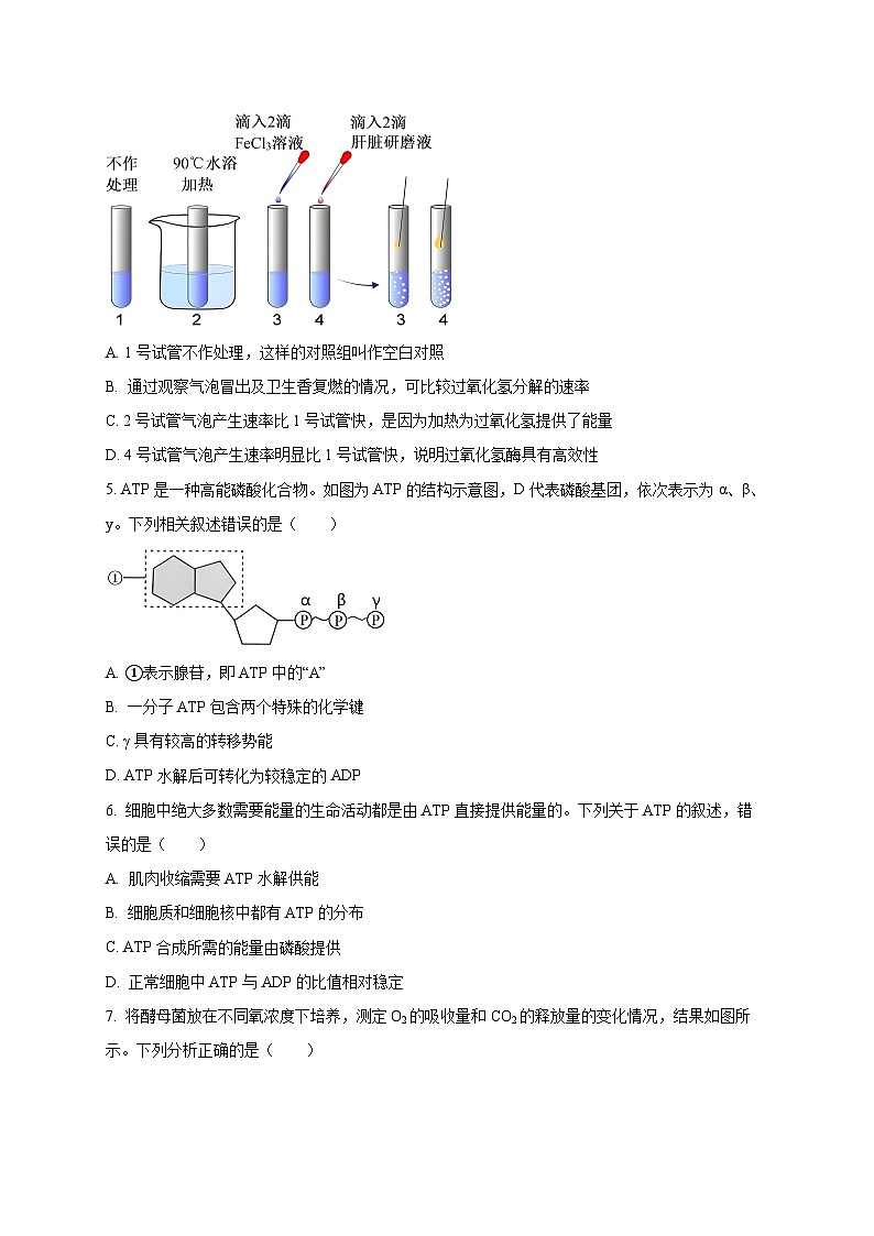 山西省太原市2024-2025学年高一上学期1月期末考试生物试题（含答案）第2页