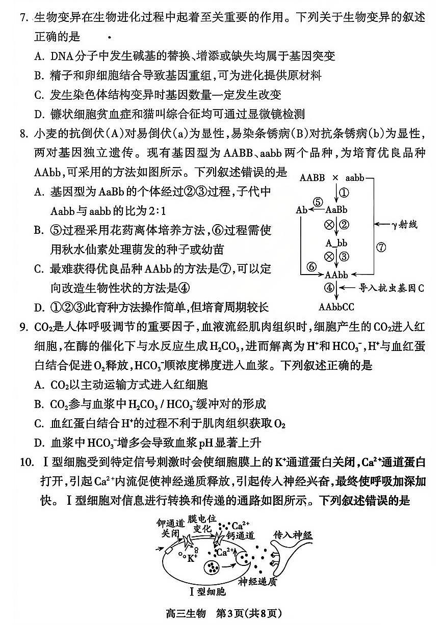 生物试题_【吕梁一模】吕梁25-26学年高三上学期期末调研测试及答案第3页