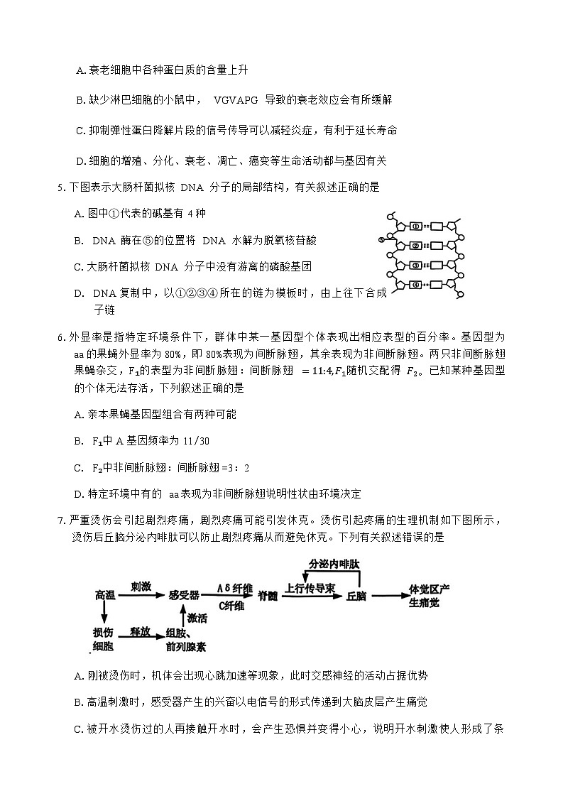 湖南省常德市2025-2026学年度上学期2月高三检测考试（一模）生物学试题（含答案）第2页