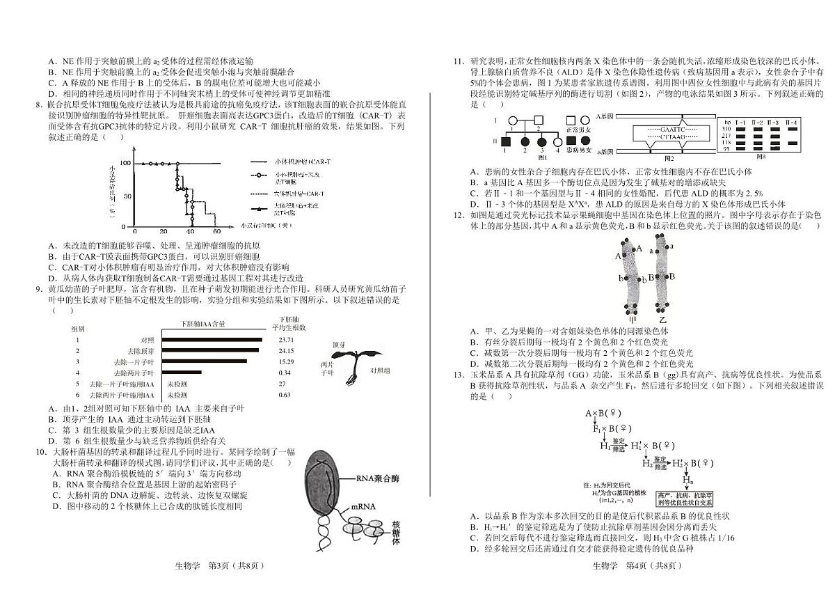 生物第2页