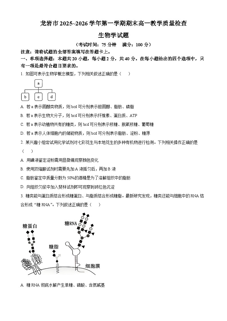 福建龙岩市2025-2026学年高一上学期期末教学质量检查生物学试题（试卷+解析）第1页