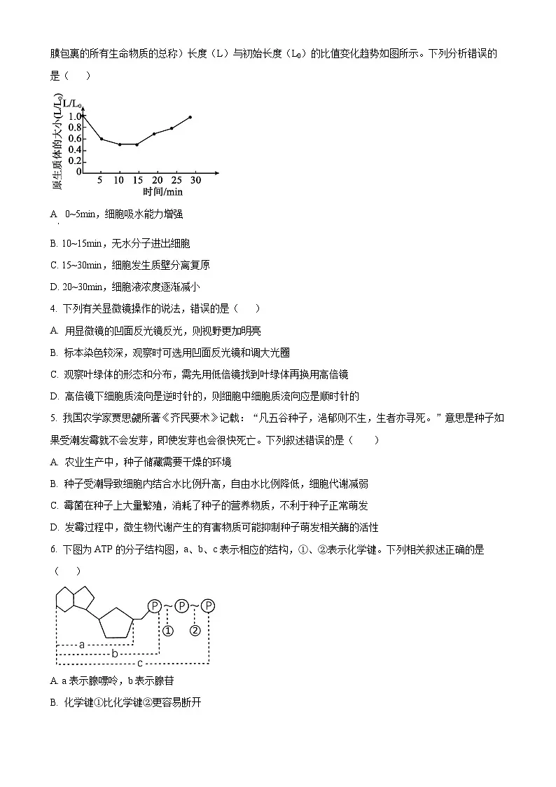 广东省大湾区普通高中2025—2026学年第一学期期末综合练习高一生物学（试卷+解析）第2页