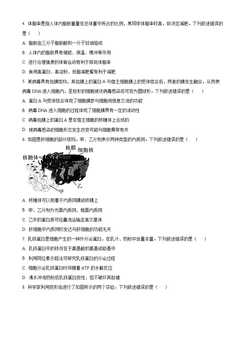山西晋城市2025-2026学年高一上学期期末自测生物练习（试卷+解析）第2页