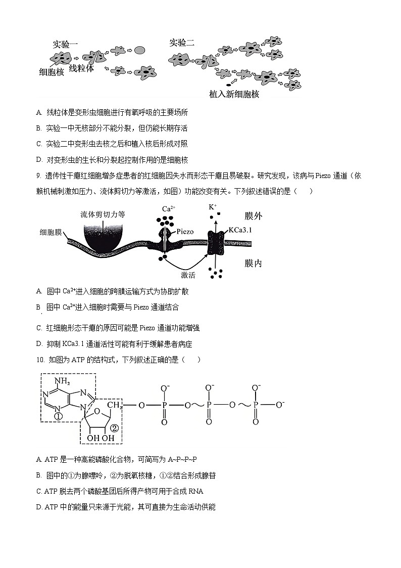 山西晋城市2025-2026学年高一上学期期末自测生物练习（试卷+解析）第3页