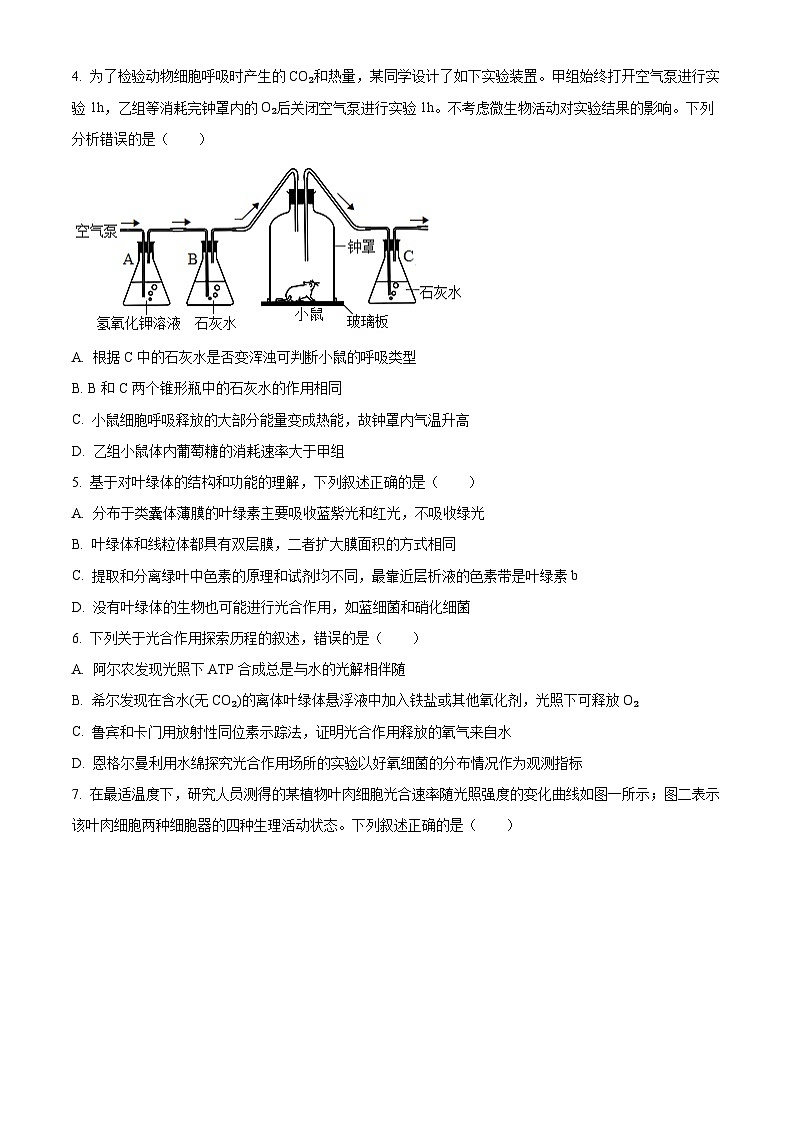 河北石家庄精英中学2025-2026学年第一学期期末考试高一生物试题（试卷+解析）第2页