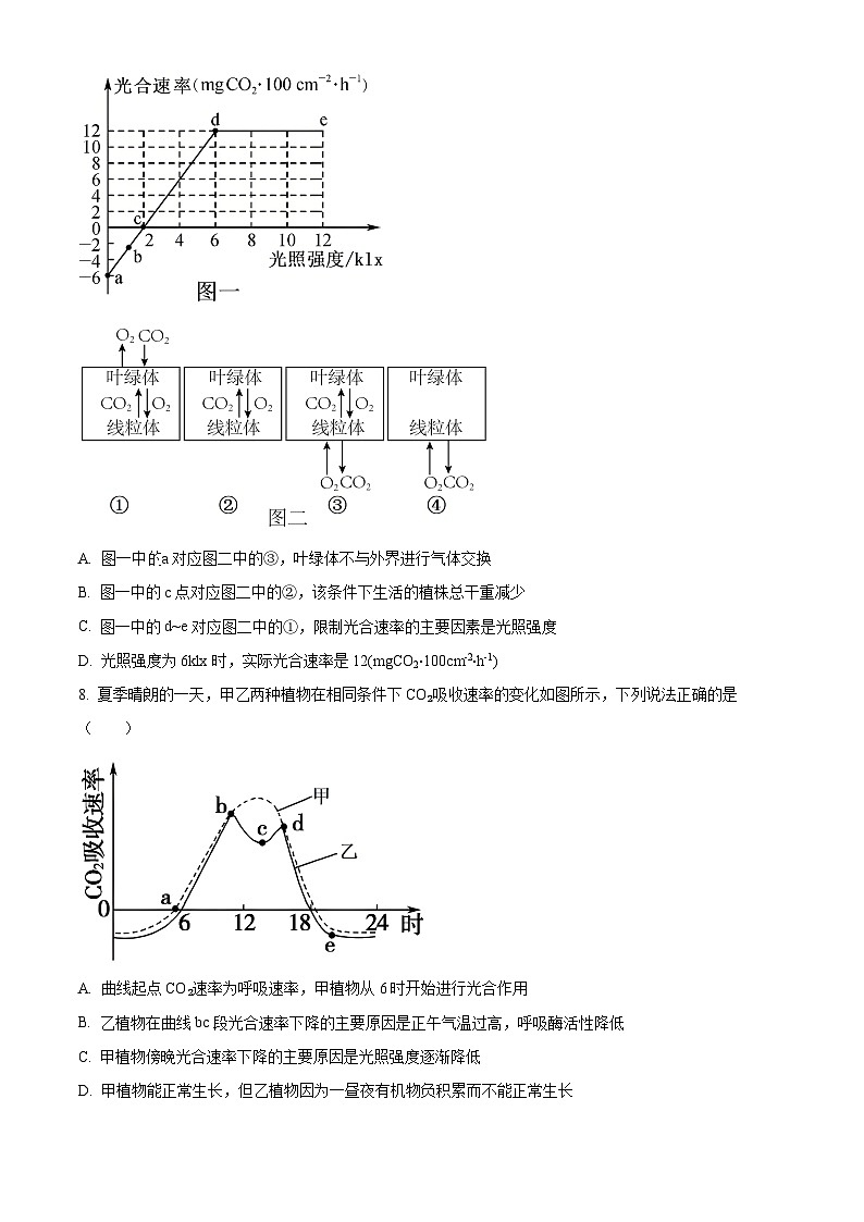 河北石家庄精英中学2025-2026学年第一学期期末考试高一生物试题（试卷+解析）第3页
