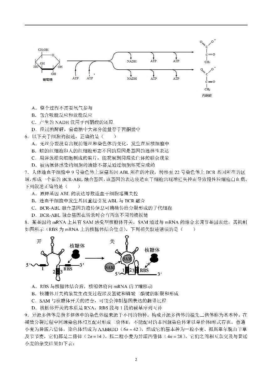 成都市第七中学2025—2026学年度上期高2026届期末考试生物第2页