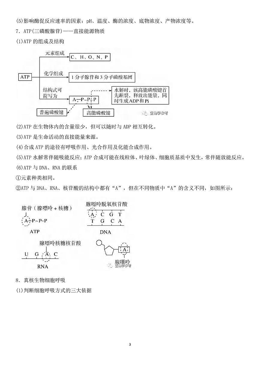 高中生物新高考考前核心知识一遍过知识清单（共31页）第3页