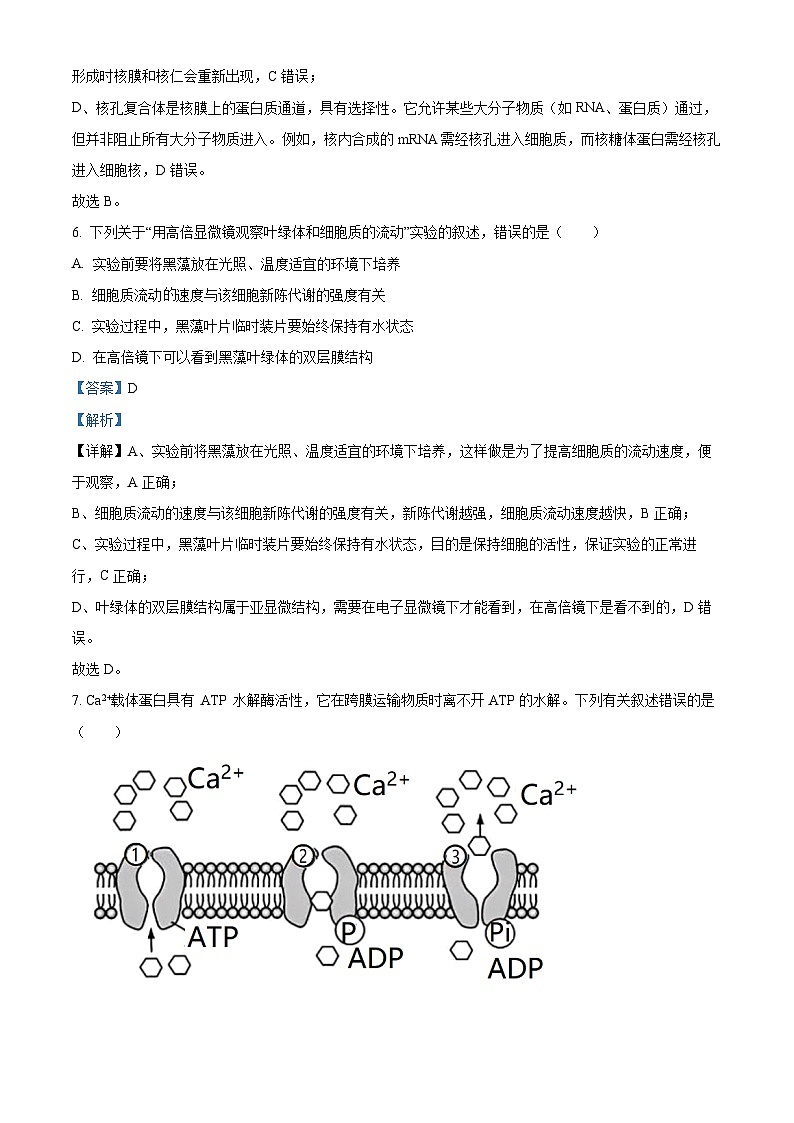 湖南师范大学附属中学2025-2026学年高一上学期1月期末生物试题  Word版含解析第3页