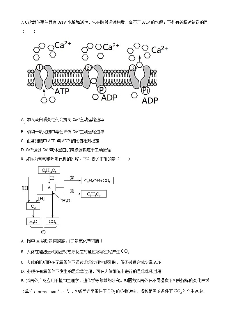湖南师范大学附属中学2025-2026学年高一上学期1月期末生物试题  Word版无答案第2页