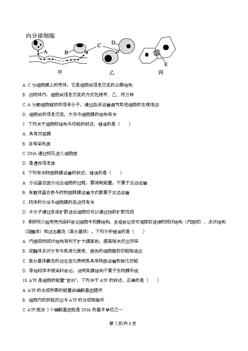 四川省泸州市合江县马街中学2025-2026学年高一上学期1月期末生物试题（原卷版）第2页
