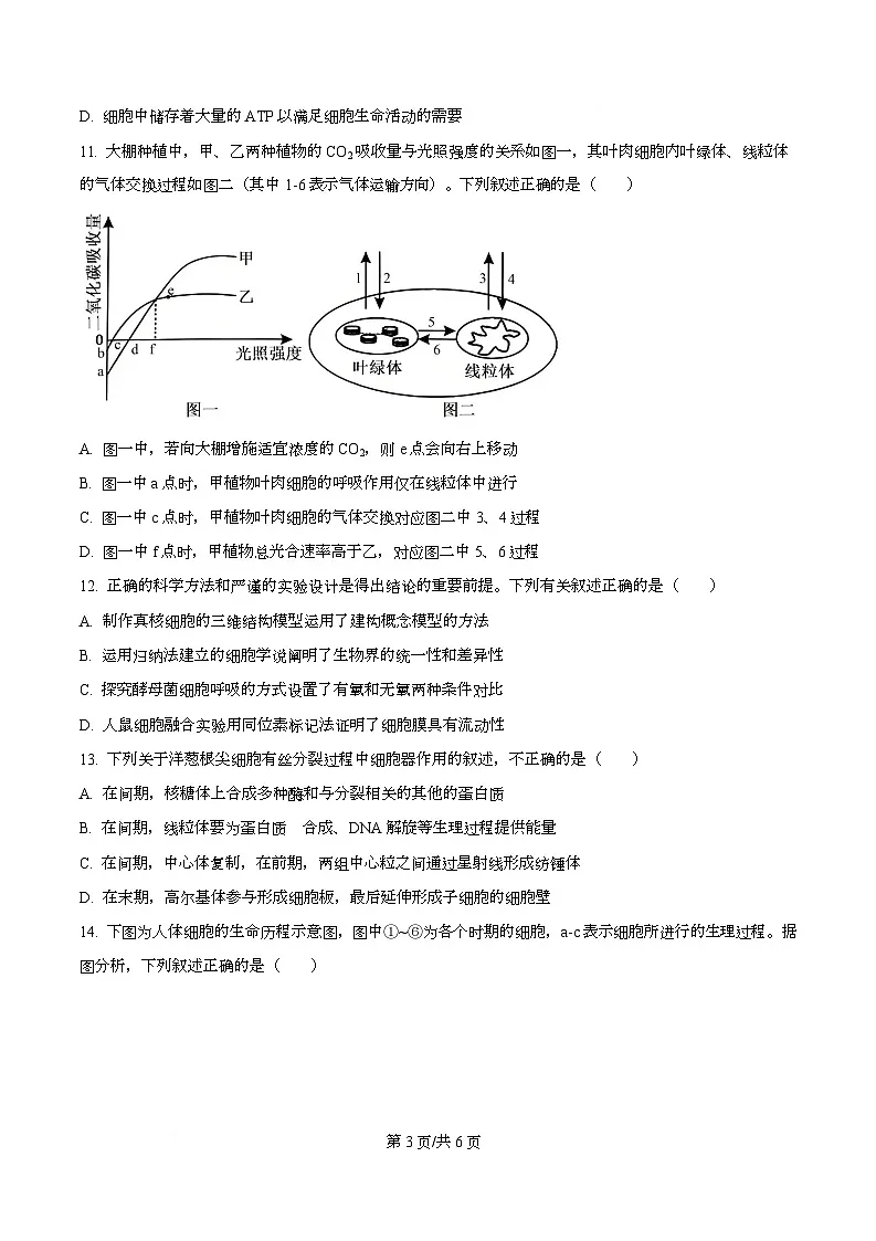 四川省泸州市合江县马街中学2025-2026学年高一上学期1月期末生物试题（原卷版）第3页