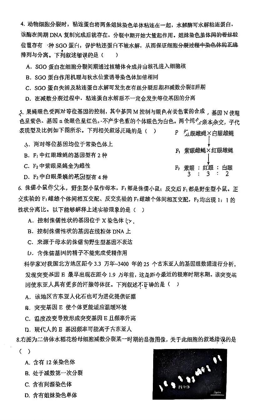 2026北京人大附中高三上1月统练六生物试卷   有答案第2页