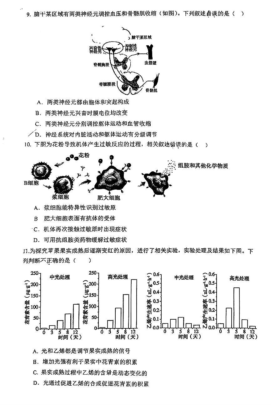 2026北京人大附中高三上1月统练六生物试卷   有答案第3页