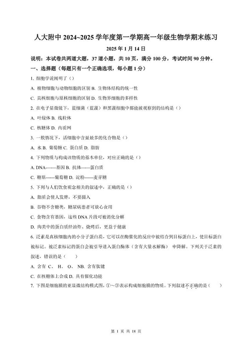 2024-2025学年北京市中国人民大学附属中学高一上学期1月期末考试生物试题（含答案）第1页