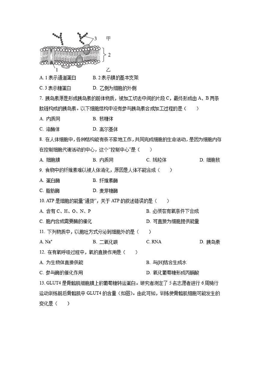 2024-2025学年北京市房山区高一上学期期末考试生物试题（含答案）第2页