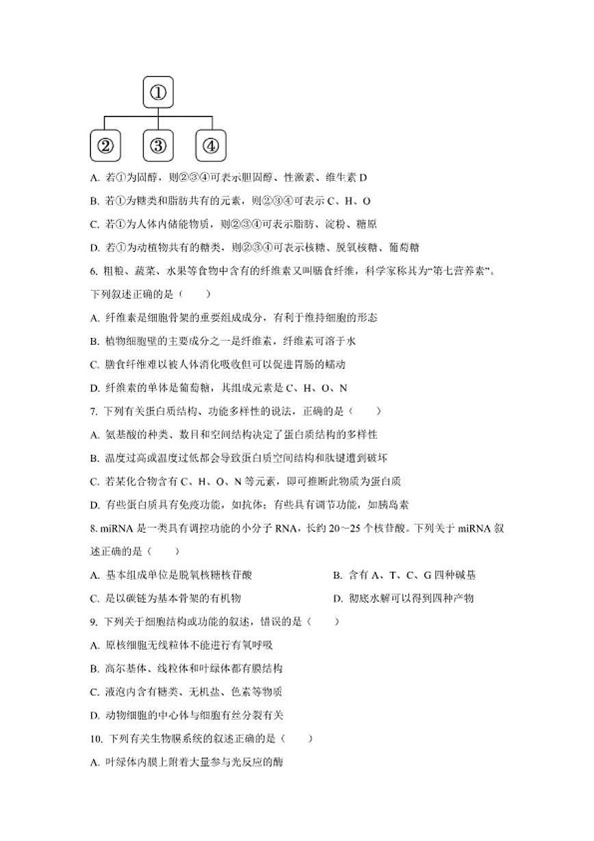 2024-2025学年北京市丰台区高一上学期期末考试生物试题（含答案）第2页