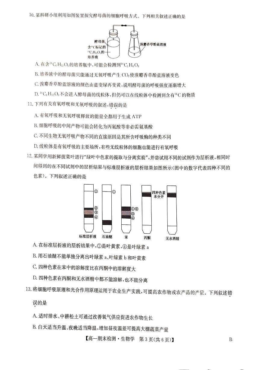 河南省商丘高级中学等学校2025-2026学年高一上学期期末考试生物学试题含答案第3页