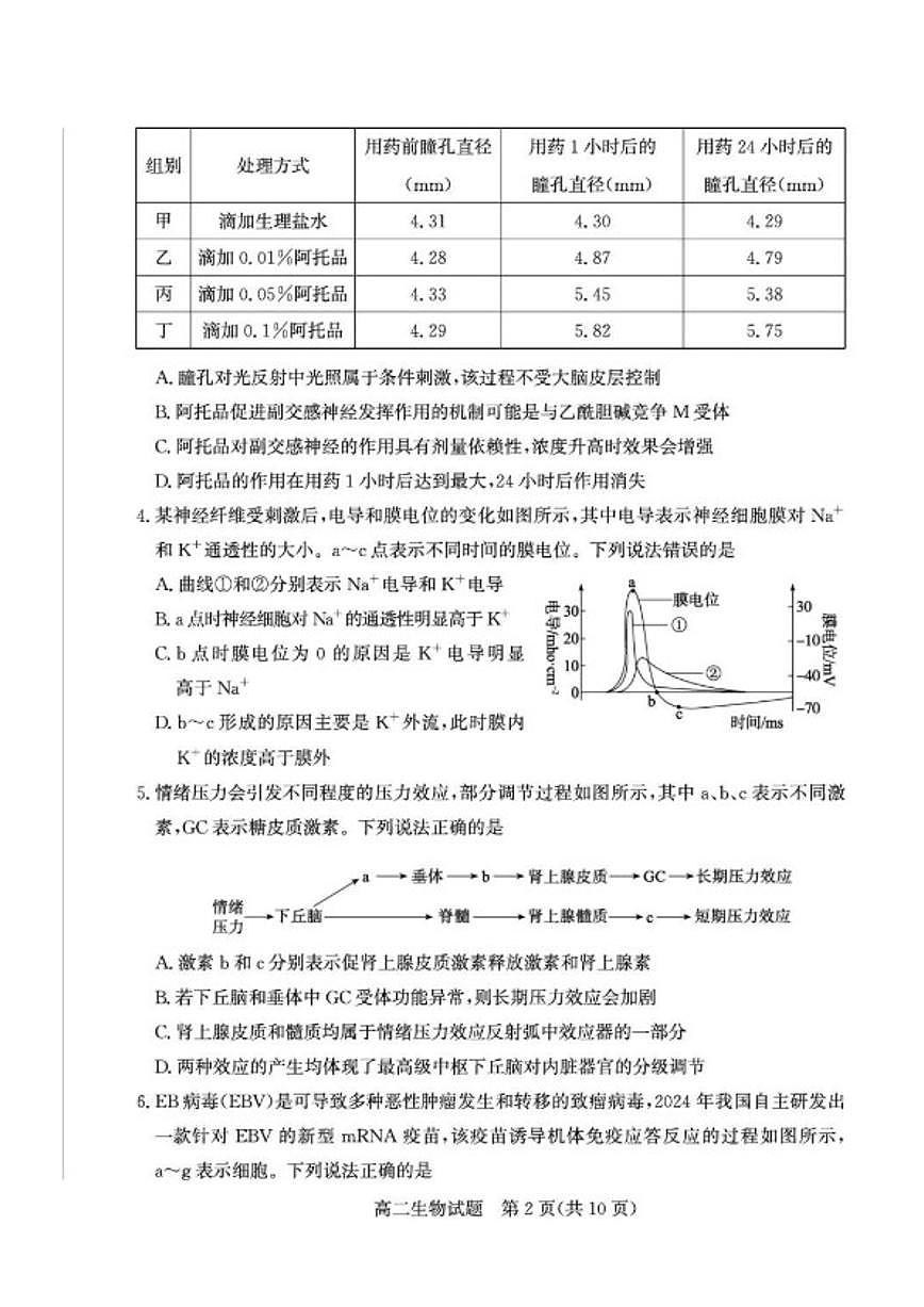 2025-2026学年山东德州市高二上学期期末考试生物学试题（含答案）第2页