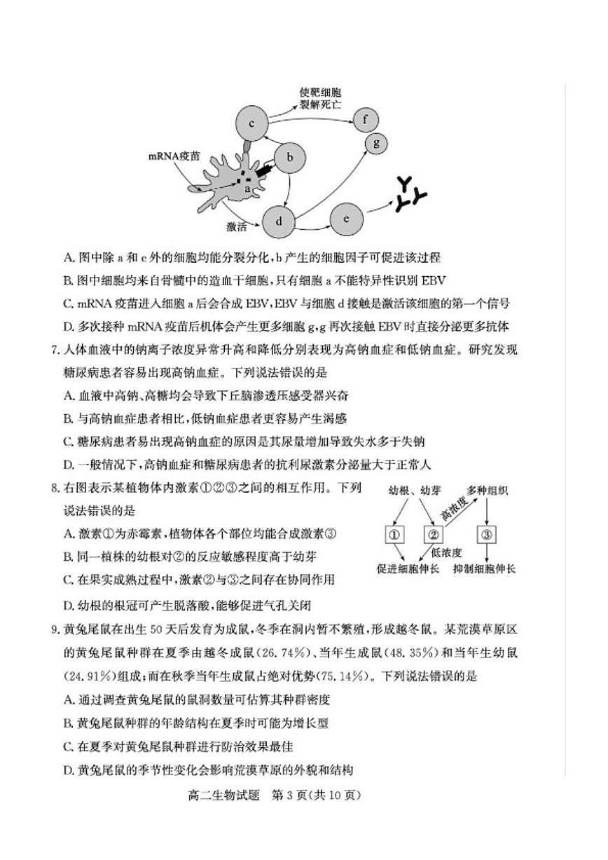 2025-2026学年山东德州市高二上学期期末考试生物学试题（含答案）第3页