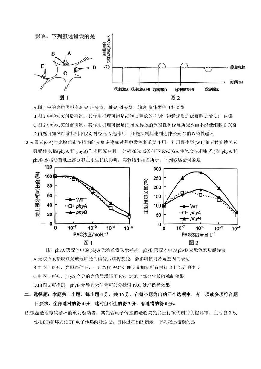 2026届湖南省岳阳市高三年级上教学质量监测(一)生物学试卷（含答案）第3页