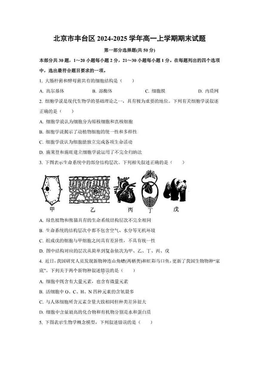 2024-2025学年北京市丰台区高一上学期期末考试生物试题（含答案）第1页