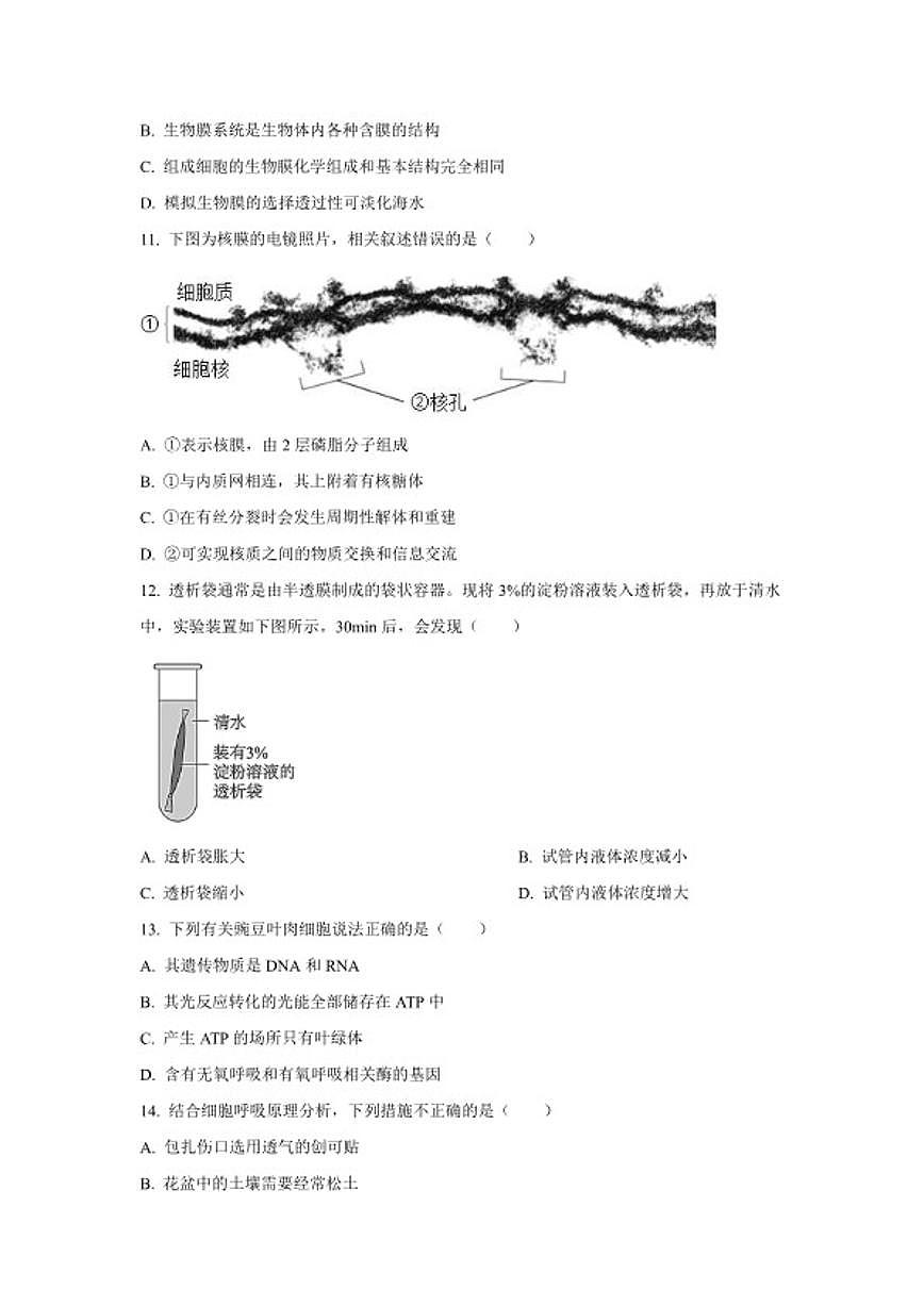 2024-2025学年北京市丰台区高一上学期期末考试生物试题（含答案）第3页