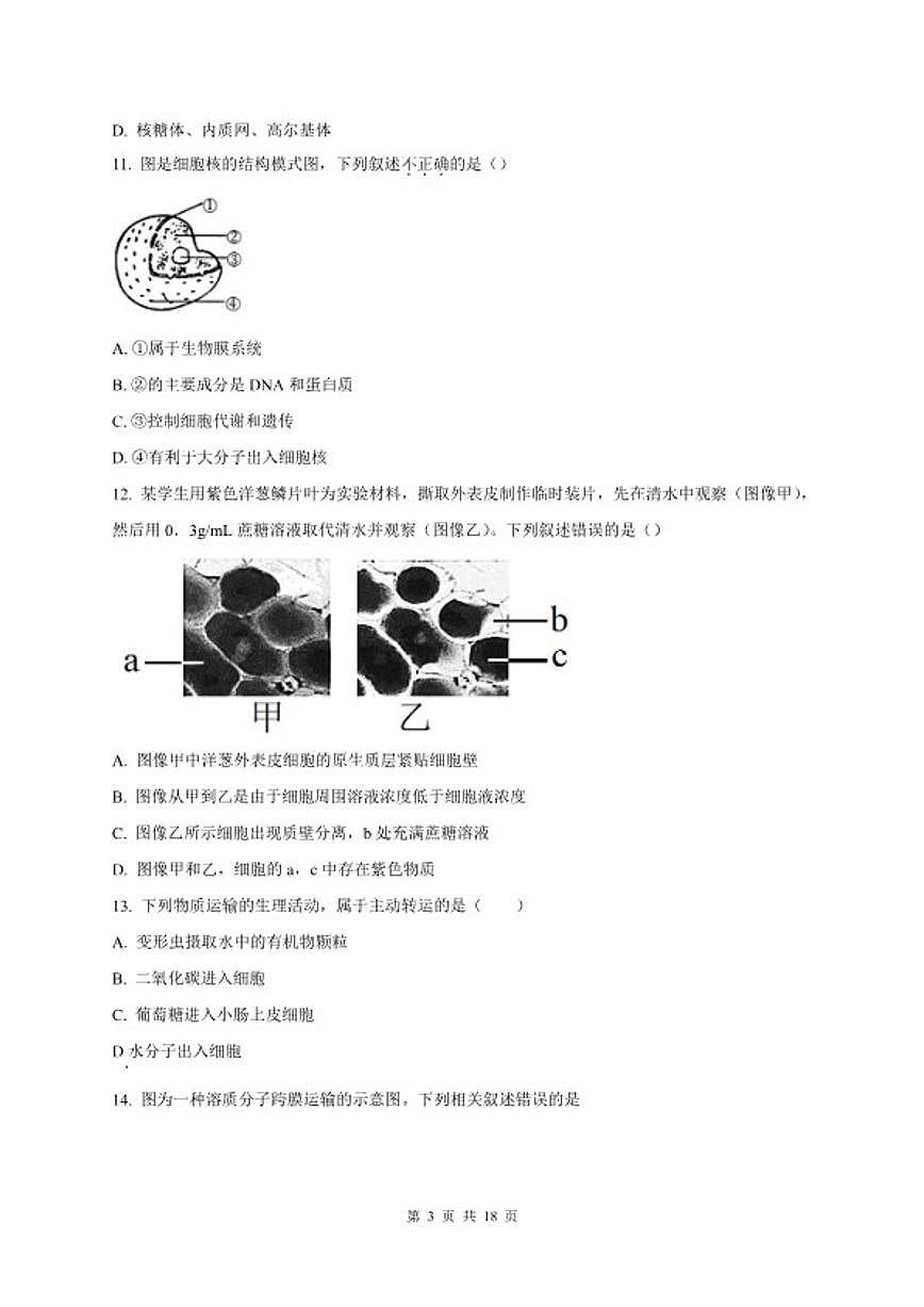 2024-2025学年北京市中国人民大学附属中学高一上学期1月期末考试生物试题（含答案）第3页