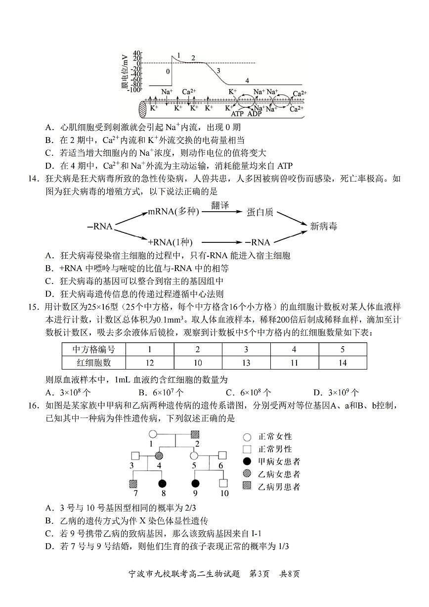 生物-浙江省宁波九校联盟2025学年第一学期高二年级期末联考试卷及答案第3页