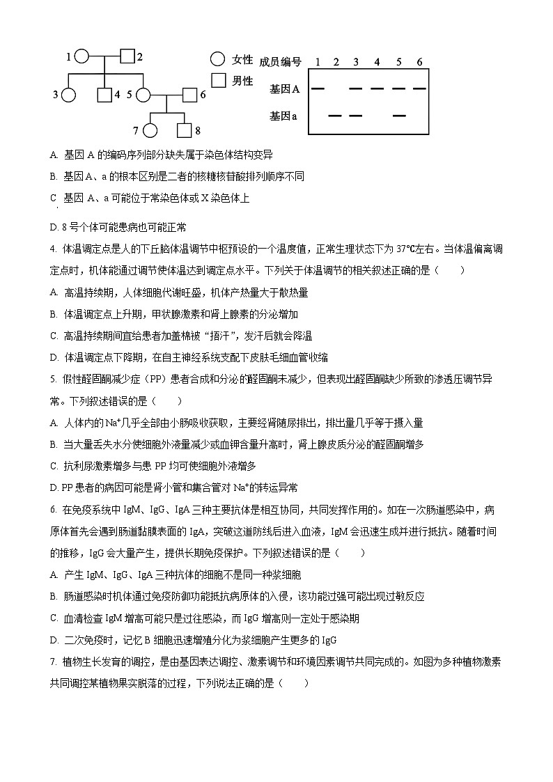 湖南省郴州市2025-2026学年上学期期末教学质量监测 高二生物学（试卷+解析）第2页