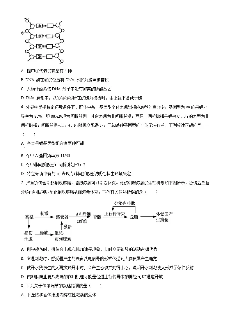 湖南益阳市2025年秋季学期普通高中质量检测高三生物学试题高考模拟（试卷+解析）第2页