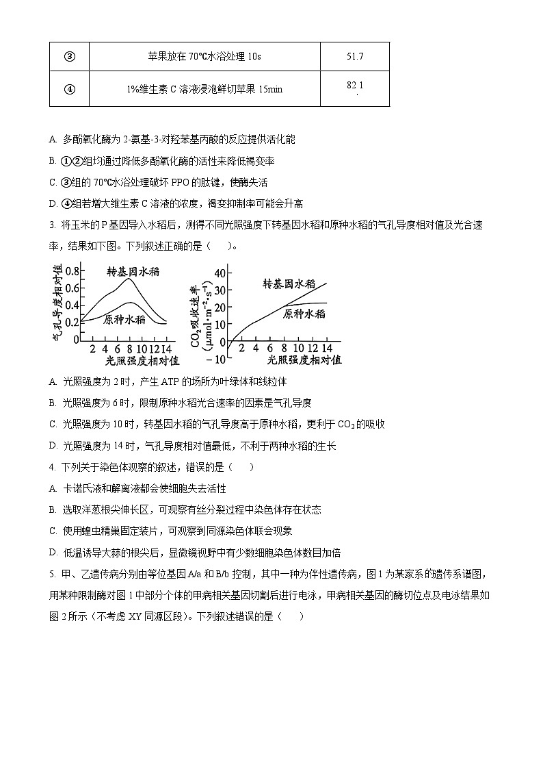 山西吕梁市2025-2026学年高三第一学期期末调研测试生物试卷（试卷+解析）第2页